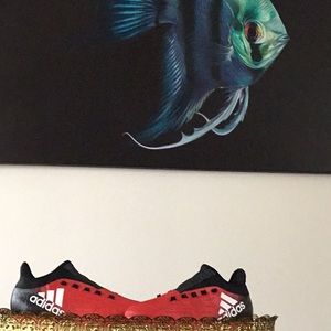 Meet your Posher, Cameron